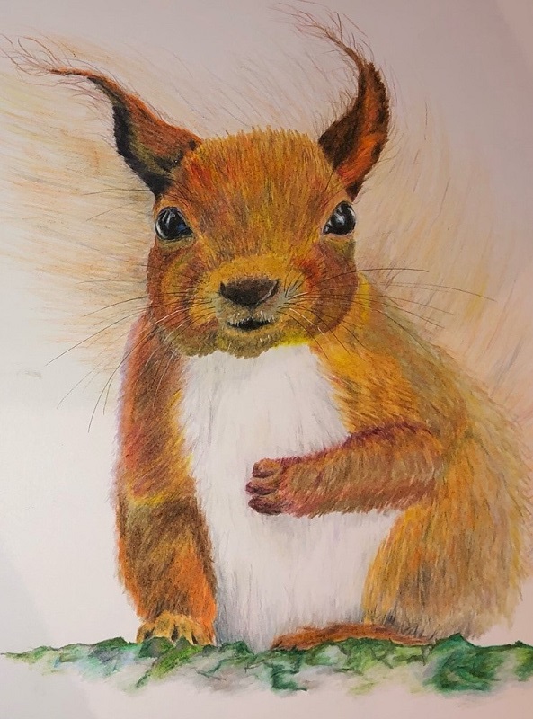 Picture of a squirrel painted by a group member