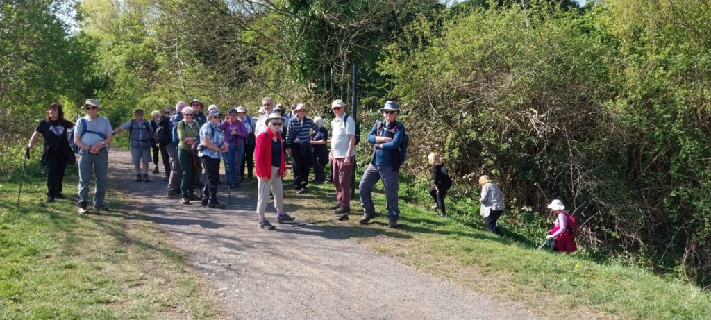 Barrow Hill walk