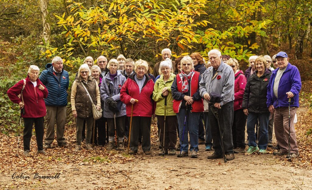 Picture of the group on a stroll at Highgate Common
