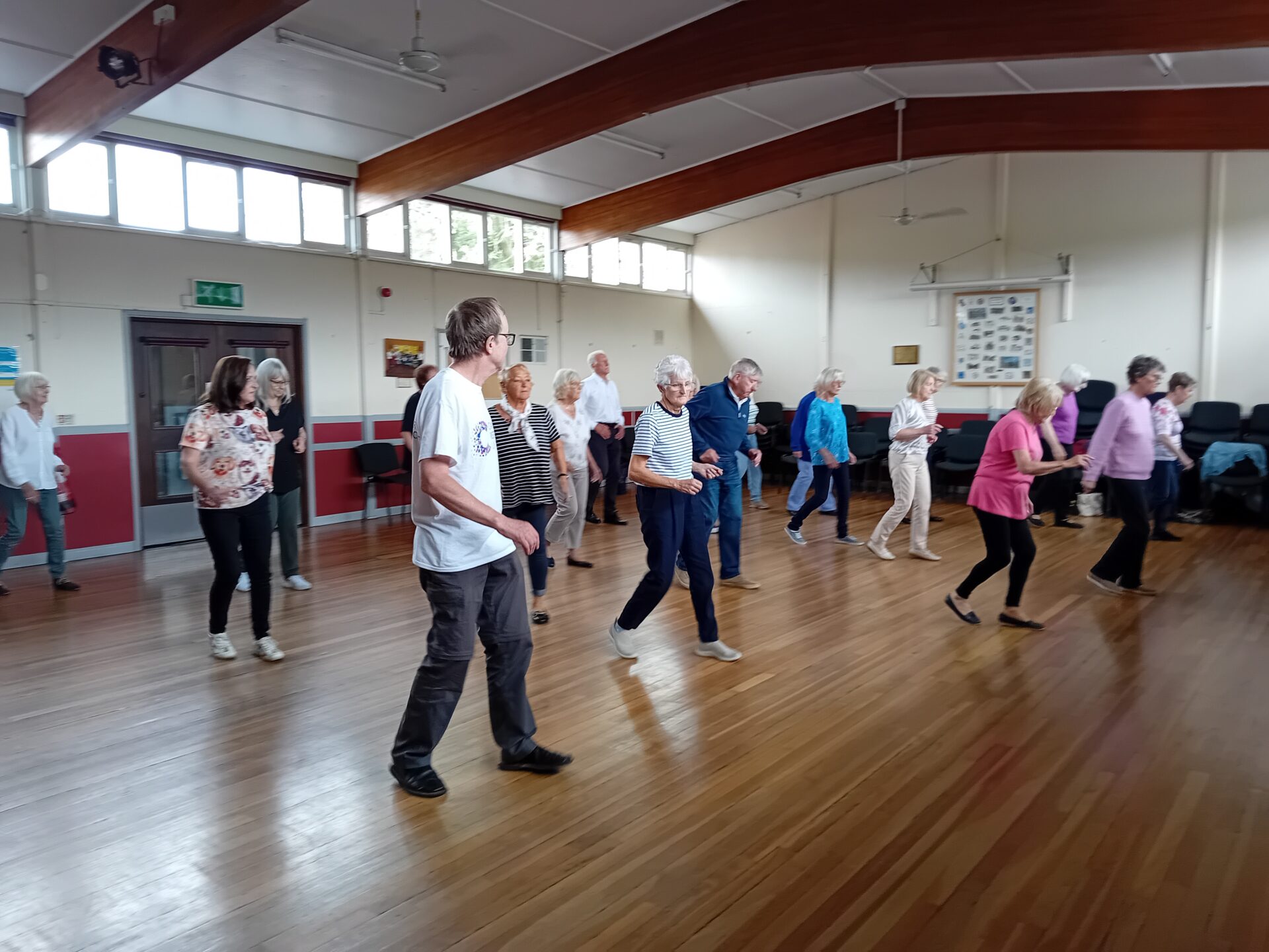 The Line Dancing Group in action