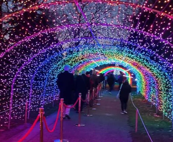 members walking down a tunnel of lights