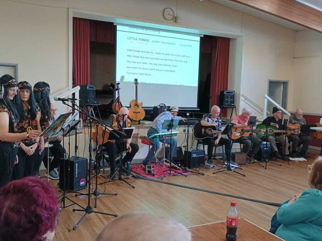 Guitar group entertain